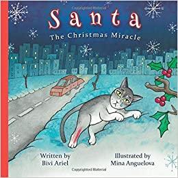 Santa The Christmas Miracle Children's Christmas Book